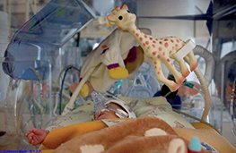 Un bébé et ses doudous